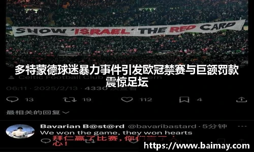 多特蒙德球迷暴力事件引发欧冠禁赛与巨额罚款震惊足坛